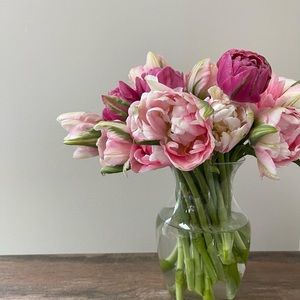 Reservation for Esme